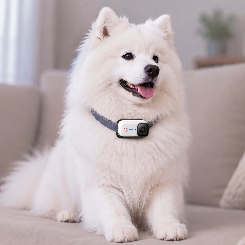 Magnetic Pet Chest Strap