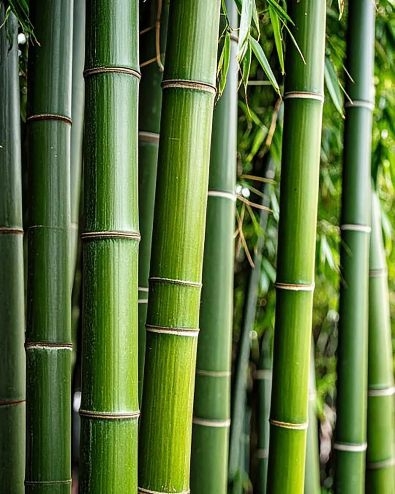 BY VELCHEVA Textilspray - Bamboo 500 ml