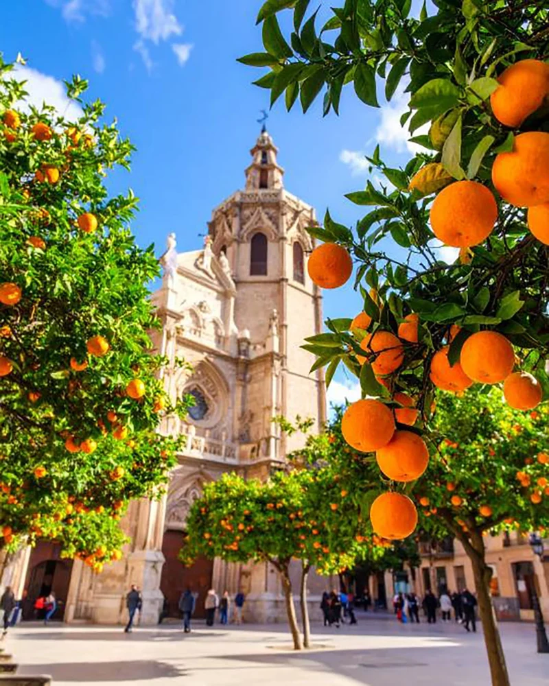 BY VELCHEVA Raumduft Mikado - Valencia 125 ml