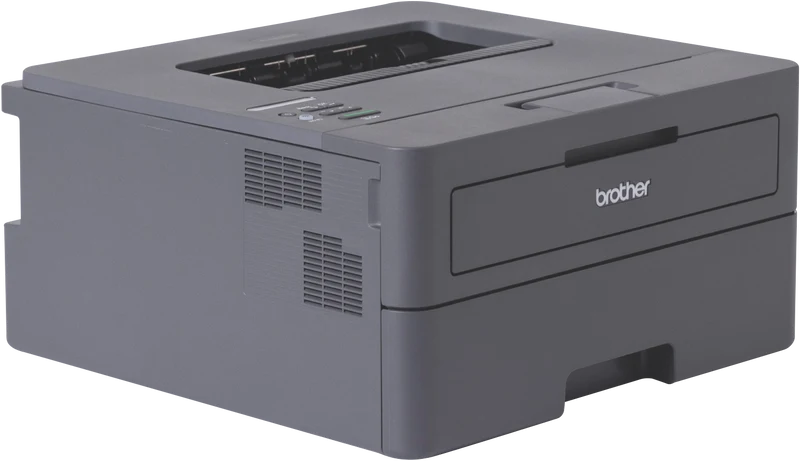 Brother Mono Laser Printer HL-L2445DW
