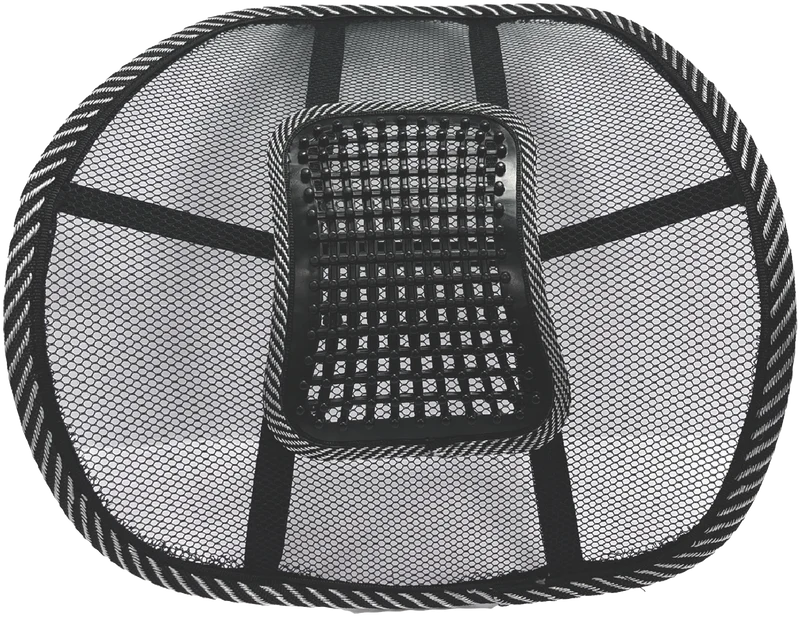 Crest Mesh Lumbar Back Support