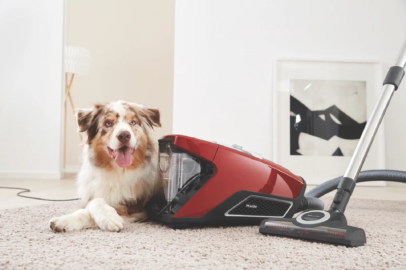 Miele Blizzard CX1 Cat & Dog Bagless Vacuum