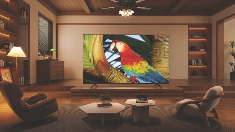 TCL 50" C655 QLED Google TV 24