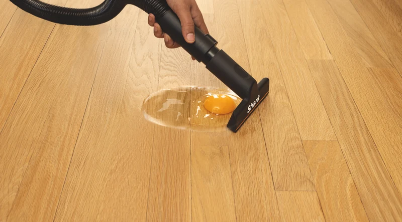 Shark MessMaster Portable Wet/Dry Vacuum