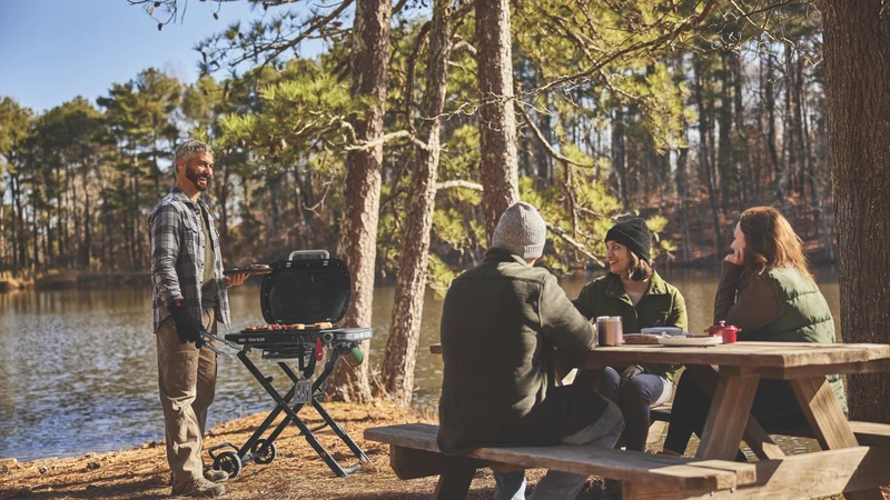 Weber Traveler Compact