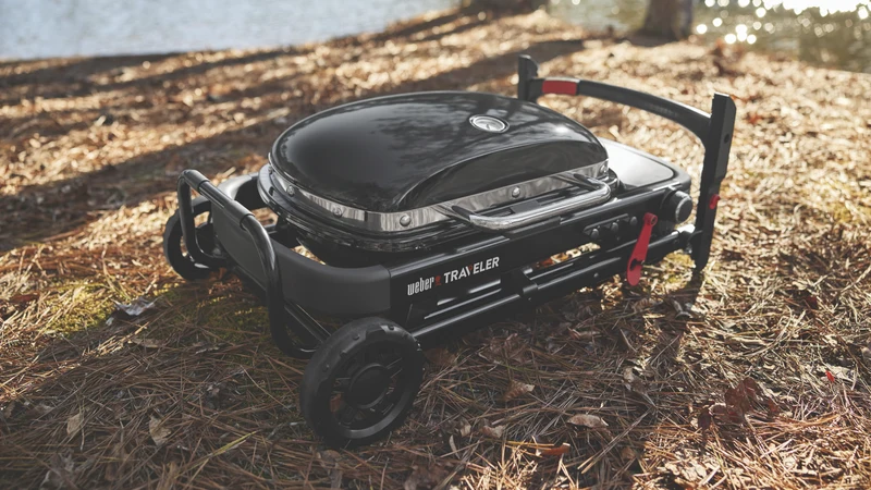 Weber Traveler Compact
