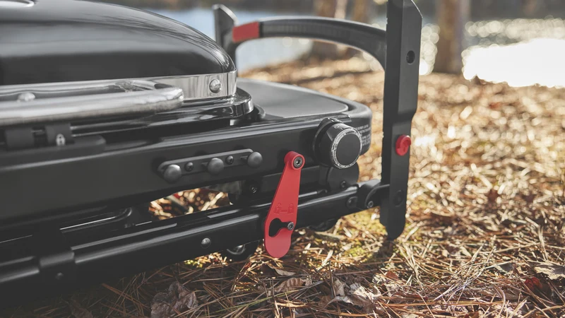 Weber Traveler Compact