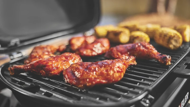 Weber Traveler Compact