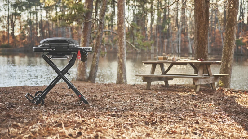 Weber Traveler Compact