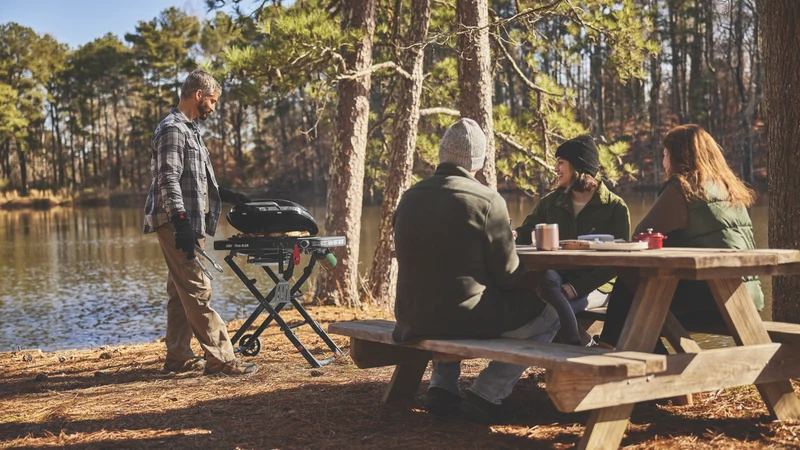 Weber Traveler Compact