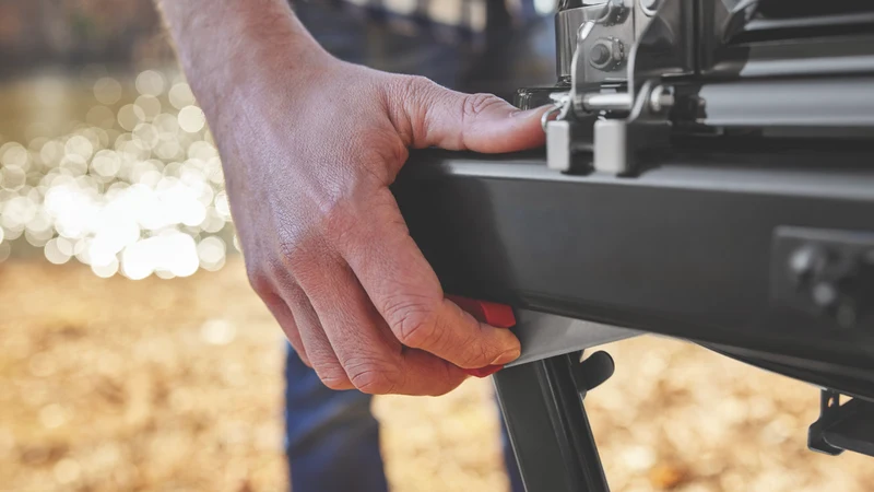 Weber Traveler Compact