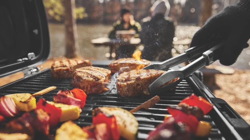 Weber Traveler Compact