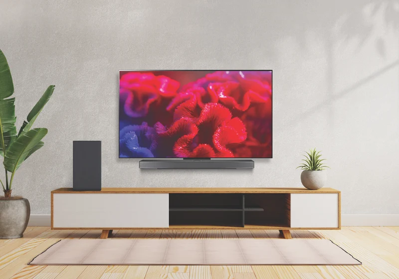 LG 65" OLED EVO C4 4K Smart TV 24