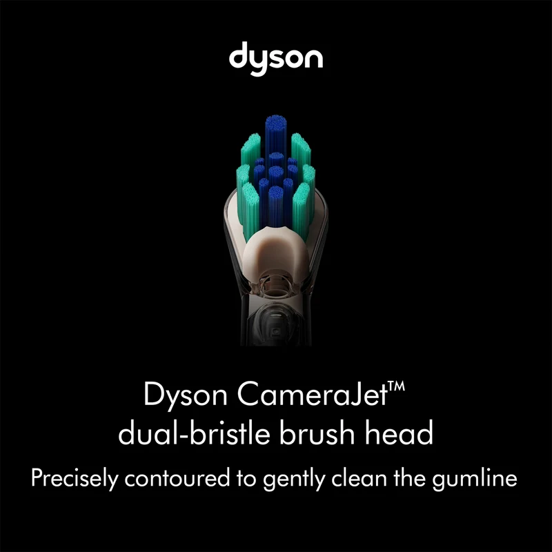 Dyson 2 Pack Dual Bristle Brush Head Regular
