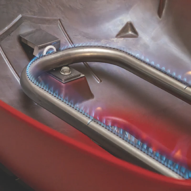 Weber Baby Q1000N LP Flame Red