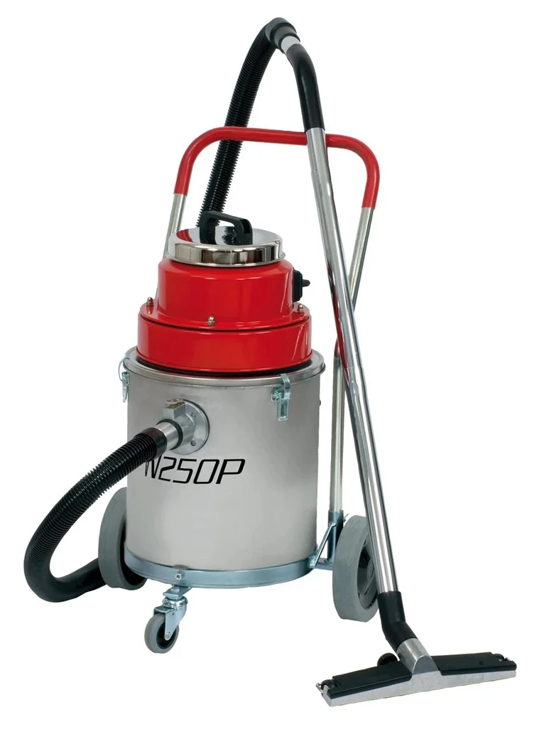 W 250 P Wassersauger