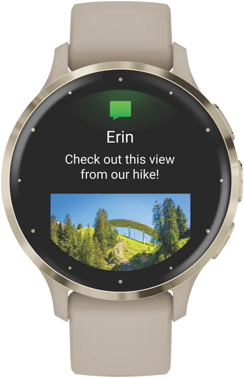 Garmin Venu 3S - French Gray/Soft Gold