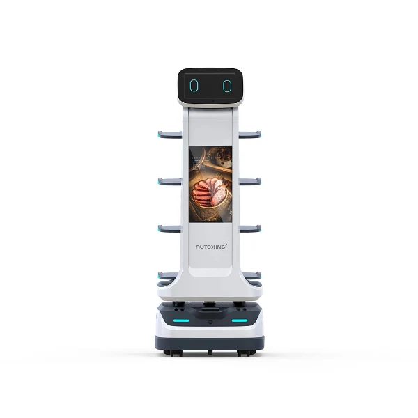 Lieferroboter - AutoXing Mars