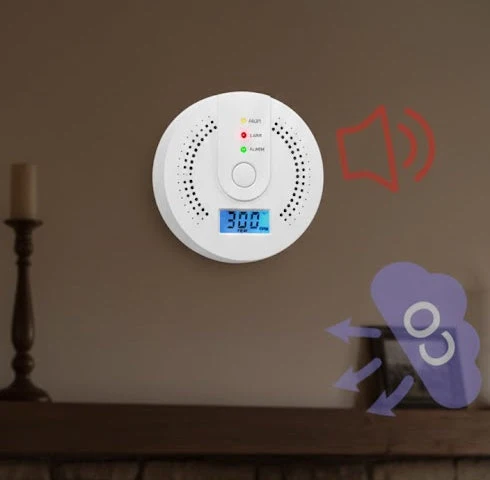 Rilevatore di Monossido di Carbonio (CO) Portatile con Display LCD - Sensore Elettrochimico