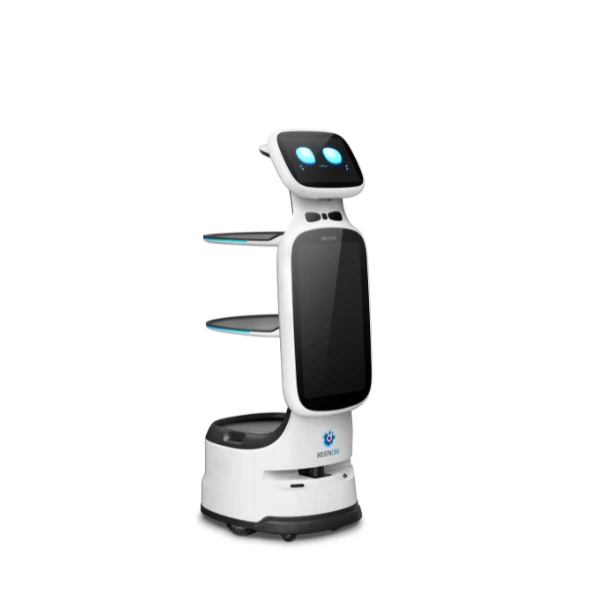 DINERBOT T11
