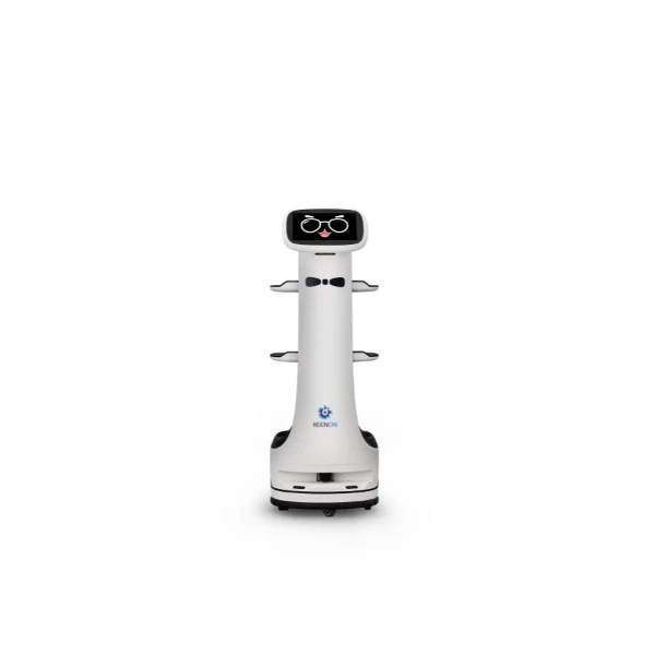 KEENON DINERBOT T8 LS