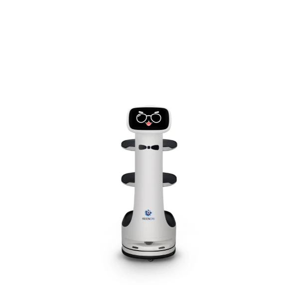KEENON DINERBOT T8 LS