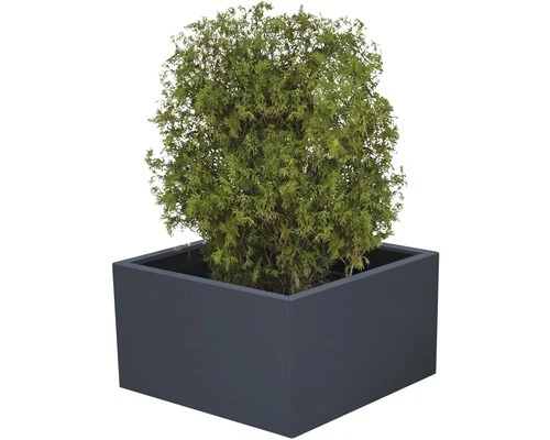 B-Ware Palatino Pflanzkübel Pflanzgefäß Clara Metall anthrazit UV-beständig 100x100cm
