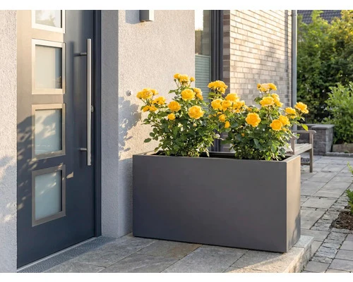 B-Ware Palatino Pflanzkübel Pflanzgefäß Lotte 240l wetterfest anthrazit 120x40cm