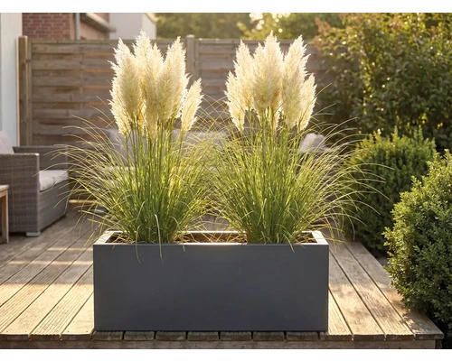 B-Ware Palatino Pflanzkübel Pflanzgefäß Lotte 240l wetterfest anthrazit 120x40cm
