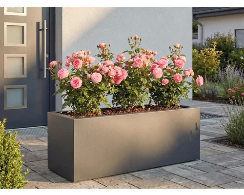 B-Ware Palatino Pflanzkübel Pflanzgefäß Lotte 240l wetterfest anthrazit 120x40cm