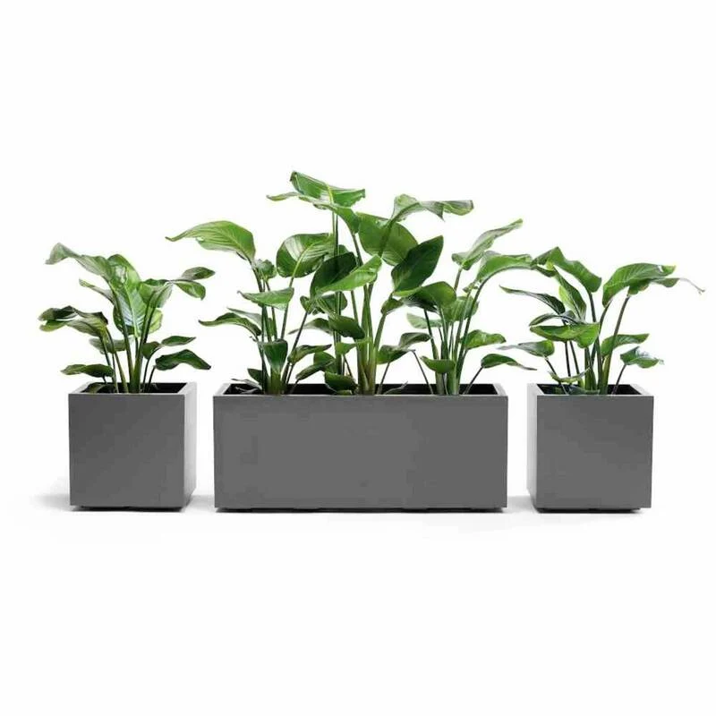 B-Ware euro3plast Greener KEBE Pflanzkasten Kunststoff Anthrazit mit Wasserreservoir