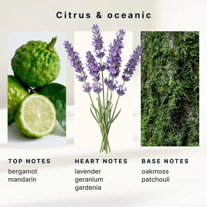 Homedics SereneScent 120ml Oil - Bergamont & Lavender